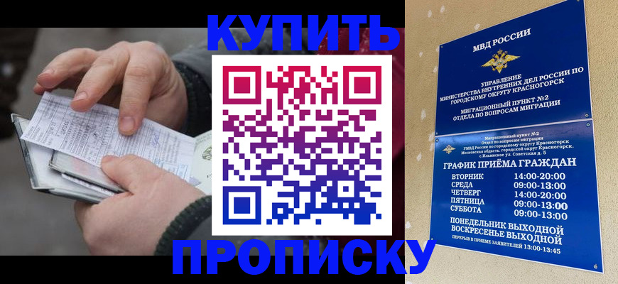 временная регистрация недорого в ЕАО